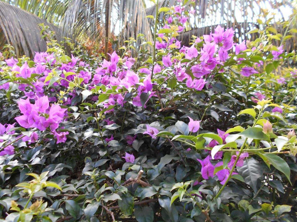 Gigi'S Self Catering Apartment Port Glaud ภายนอก รูปภาพ