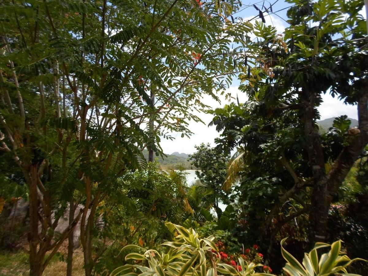 Gigi'S Self Catering Apartment Port Glaud ภายนอก รูปภาพ
