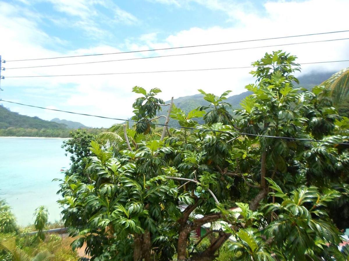 Gigi'S Self Catering Apartment Port Glaud ภายนอก รูปภาพ