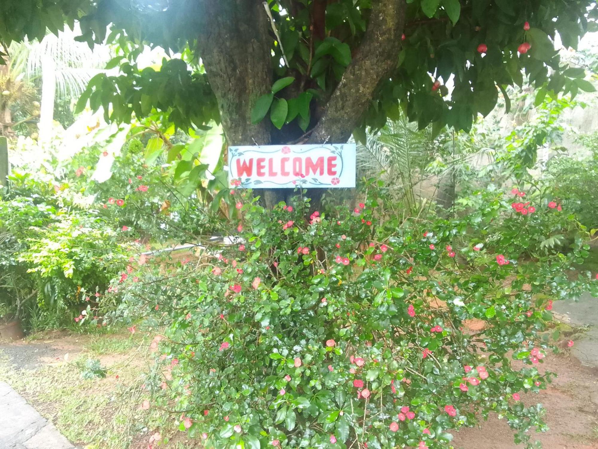 Gigi'S Self Catering Apartment Port Glaud ภายนอก รูปภาพ