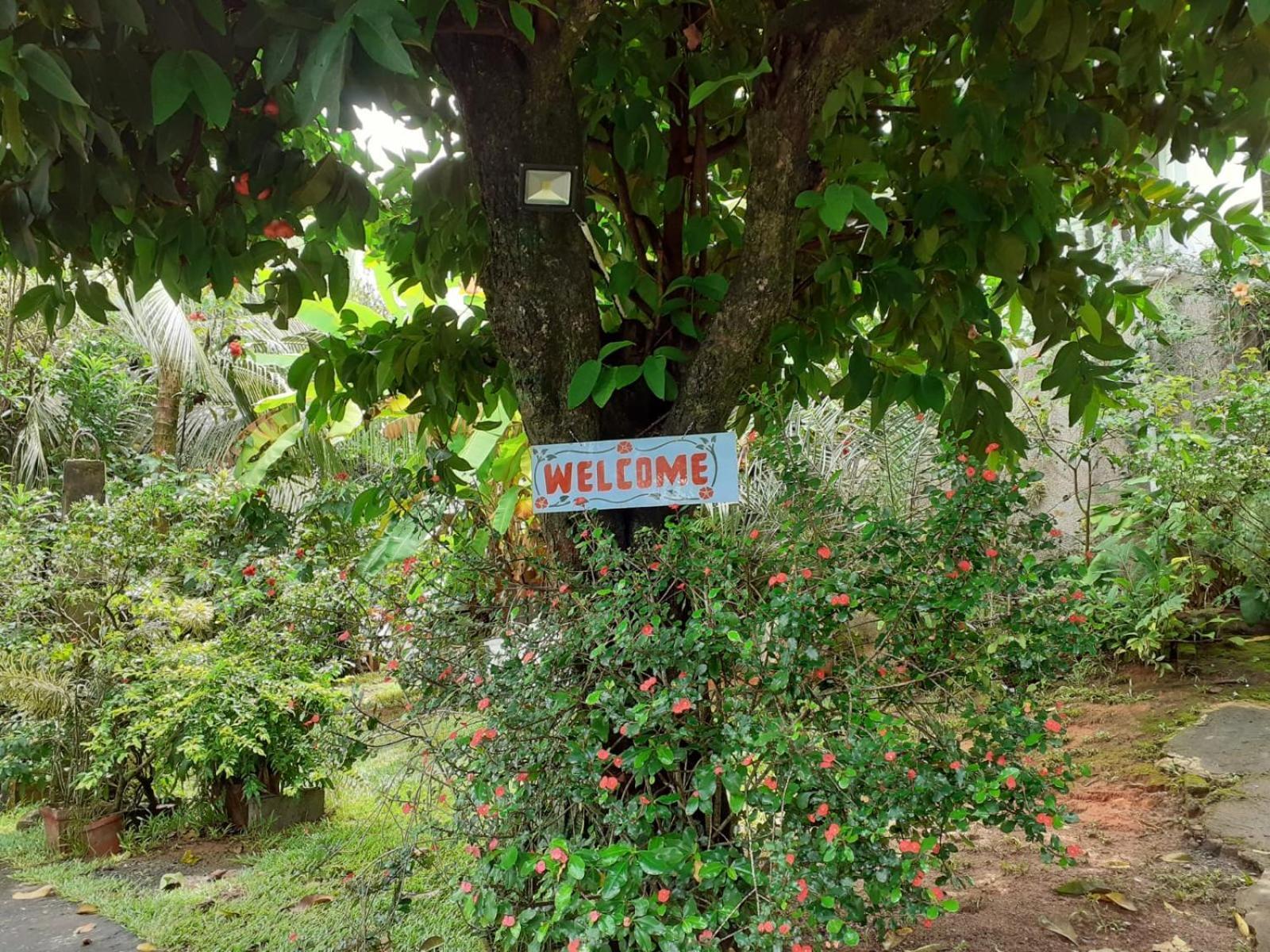 Gigi'S Self Catering Apartment Port Glaud ภายนอก รูปภาพ