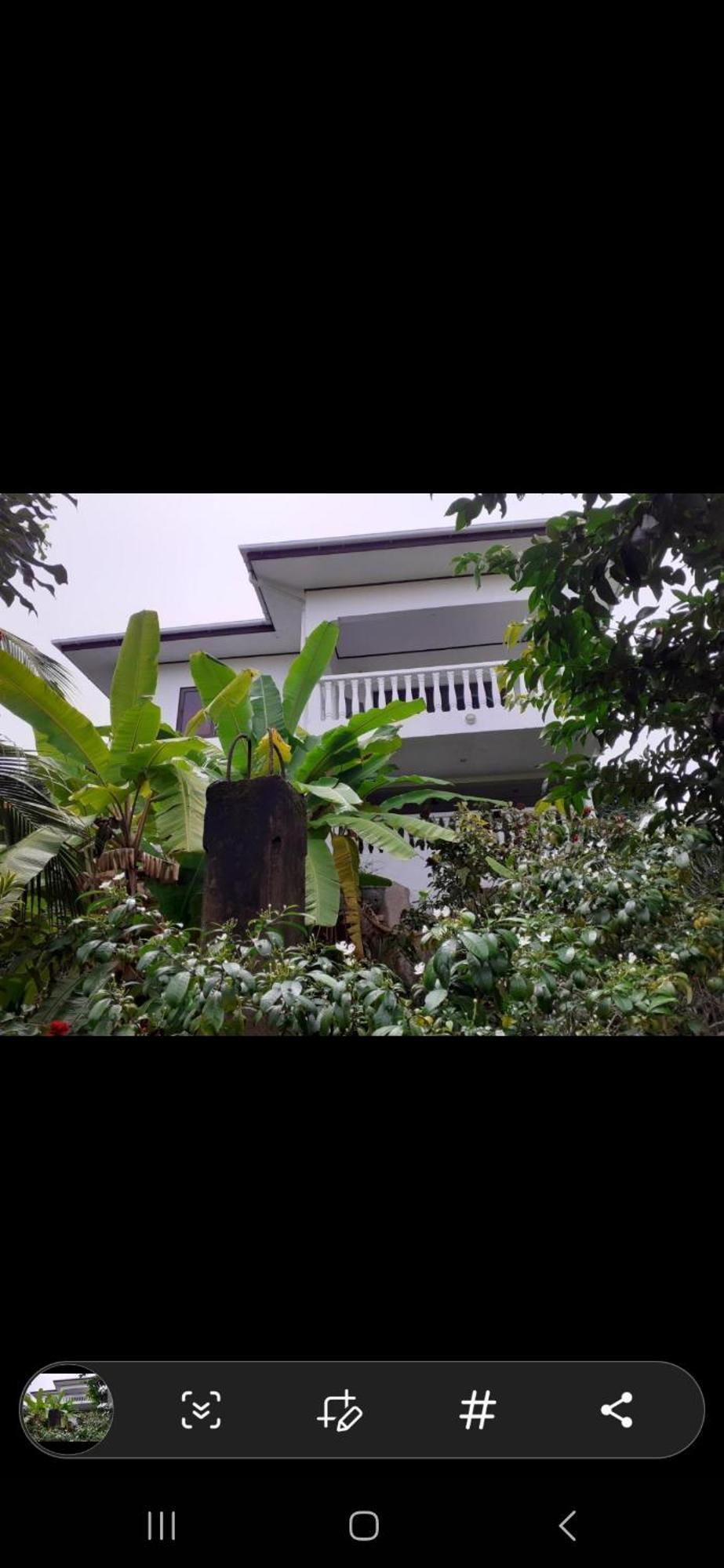 Gigi'S Self Catering Apartment Port Glaud ภายนอก รูปภาพ