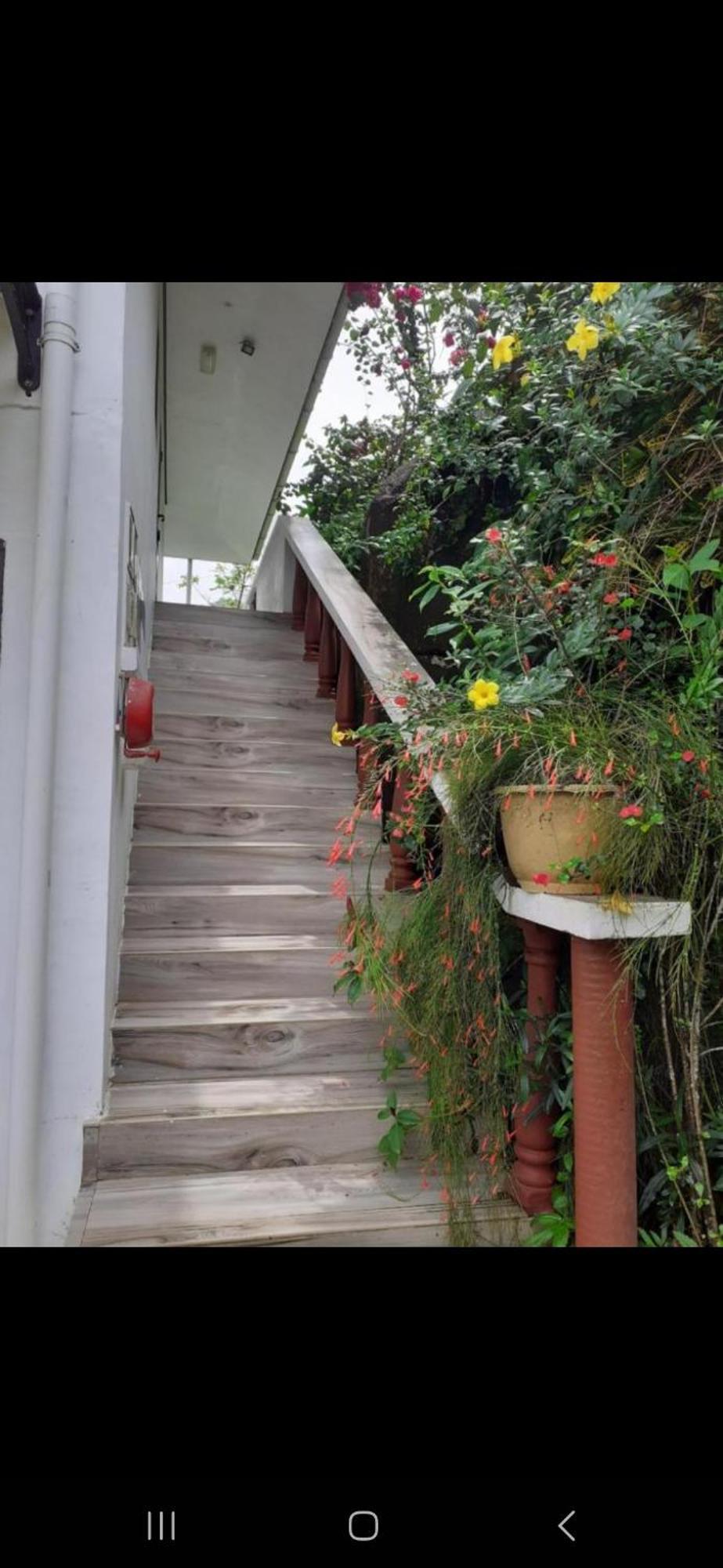 Gigi'S Self Catering Apartment Port Glaud ภายนอก รูปภาพ